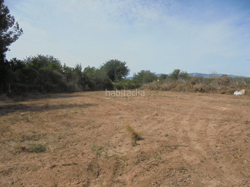 Foto 99ffd076-76b8-4bec-8156-a185353133f5. Finca rústica a Vilamarxant