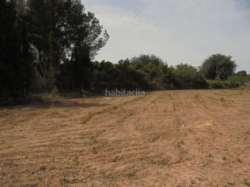 Foto e477143a-7744-4ab2-b6c1-65629f53c625. Finca rústica a Vilamarxant