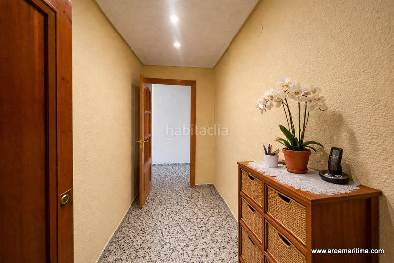 Foto 873173d1-d21f-4761-ae5e-881a6c476b28. Pis a Malva Rosa Valencia