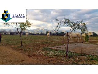 Fondo rustico  Calle coveta dels gats. Finca rústica