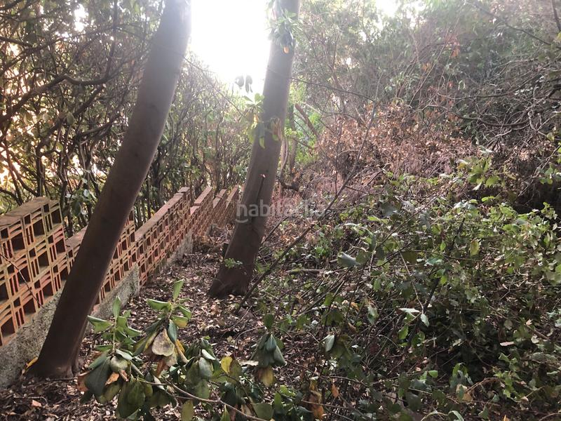 Foto 0e5ab89d-2ca0-4a97-b9cc-0690fb5f0acf. Terreno residenziale in camino mataro de 67 in Can Massuet del Far Dosrius