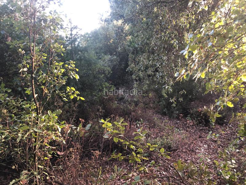 Foto 31ed41ae-4045-46a6-92ff-801f4855bc43. Terreno residenziale in camino mataro de 67 in Can Massuet del Far Dosrius