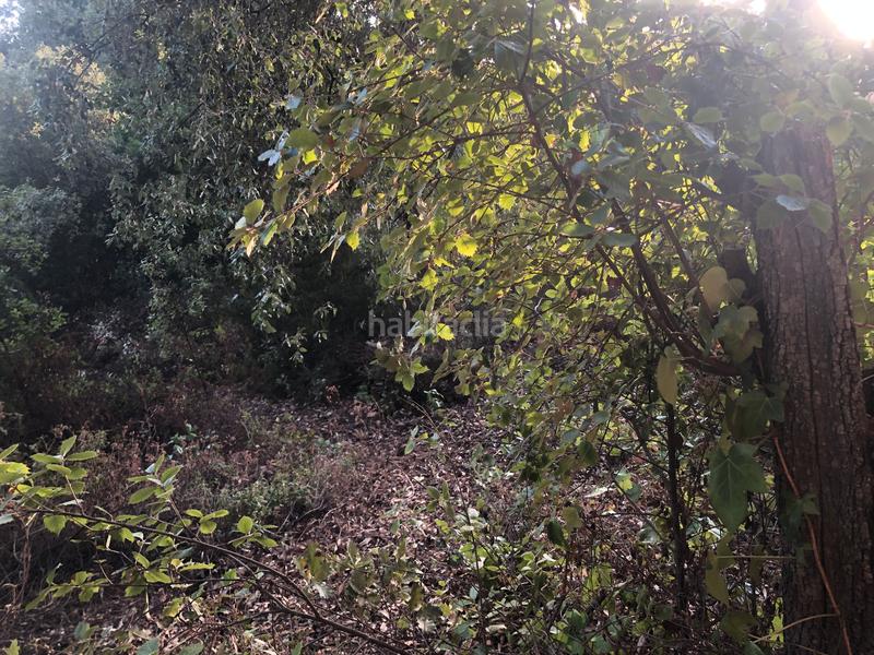 Foto 3f0f4618-9476-4de8-bf0a-f347d0796f23. Terreno residenziale in camino mataro de 67 in Can Massuet del Far Dosrius