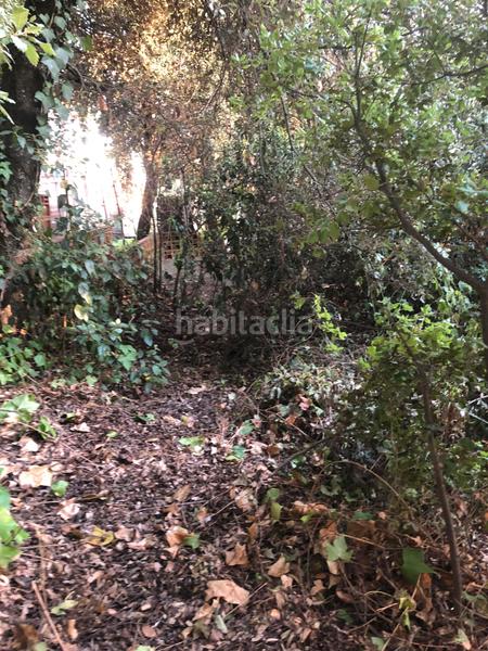 Foto 8546cffa-4ebe-40fd-9300-b53805cc7507. Terreno residenziale in camino mataro de 67 in Can Massuet del Far Dosrius
