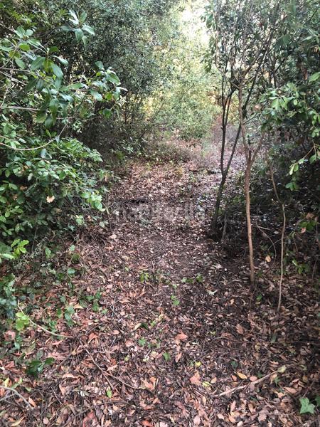 Foto da923ea8-d378-4fcf-a207-5bbf261f37d0. Terreno residenziale in camino mataro de 67 in Can Massuet del Far Dosrius