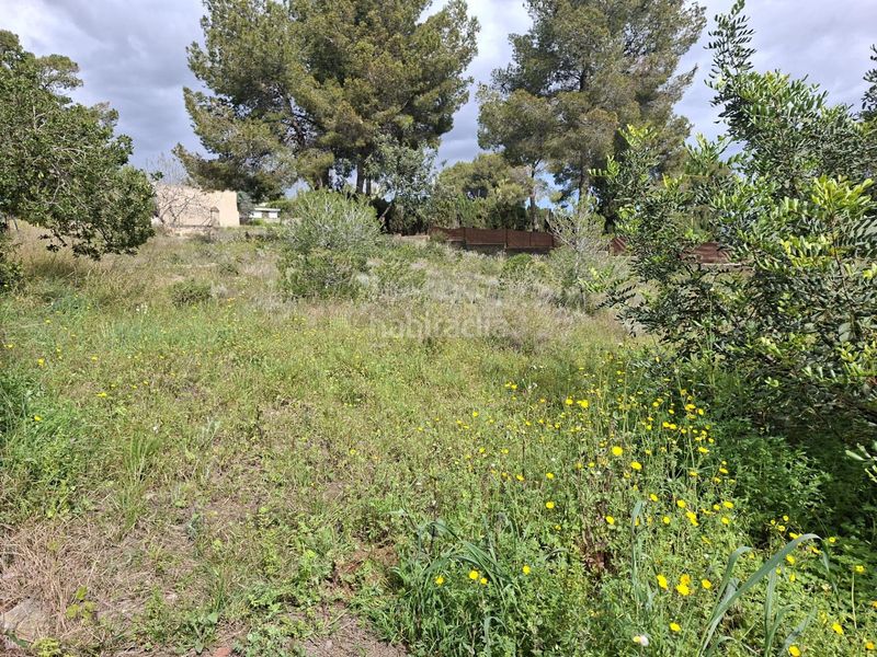 Foto 6a9fee69-72e6-484a-92b3-72df02072f9c. Finca rústica a Camí de Paterna-Lloma del Calderer Bétera