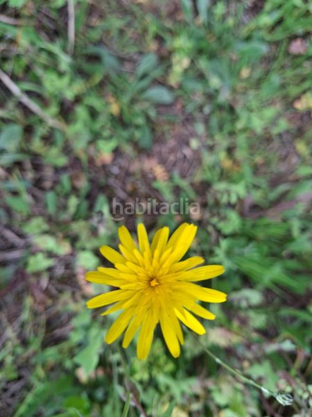 Foto 87b28d21-49f4-487a-bc81-495e54c99e9e. Finca rústica a Camí de Paterna-Lloma del Calderer Bétera