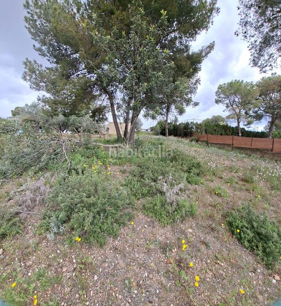 Foto 94a05b0e-30dd-4f7c-b1de-765ad2bdf344. Finca rústica a Camí de Paterna-Lloma del Calderer Bétera