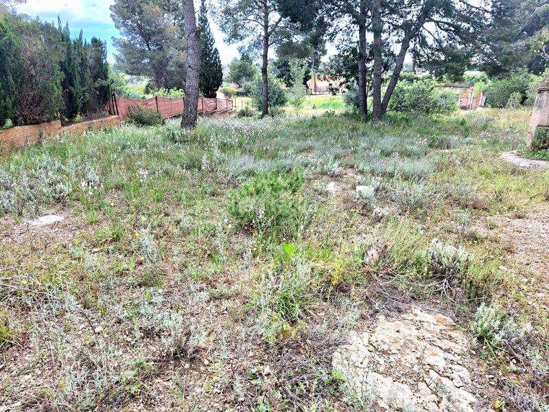 Foto b9eb8c7d-6e8b-450f-85a1-fd3cb1e221d0. Finca rústica a Camí de Paterna-Lloma del Calderer Bétera