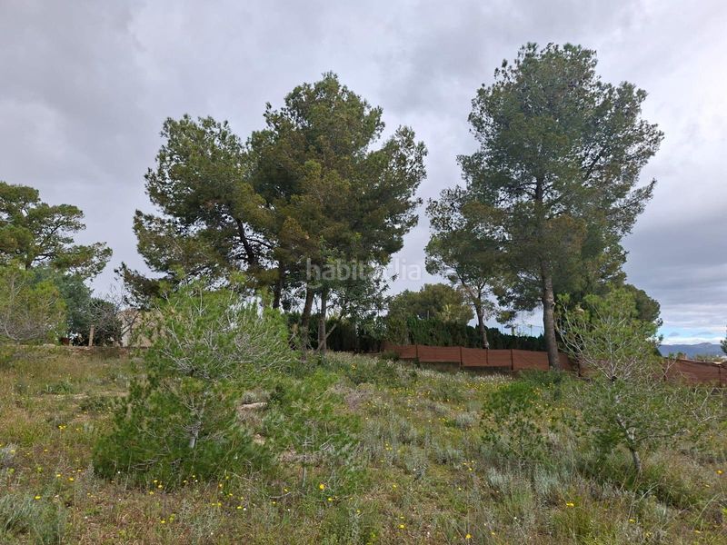 Foto bf405a42-a3c0-4203-a721-b4350790b3b0. Finca rústica a Camí de Paterna-Lloma del Calderer Bétera