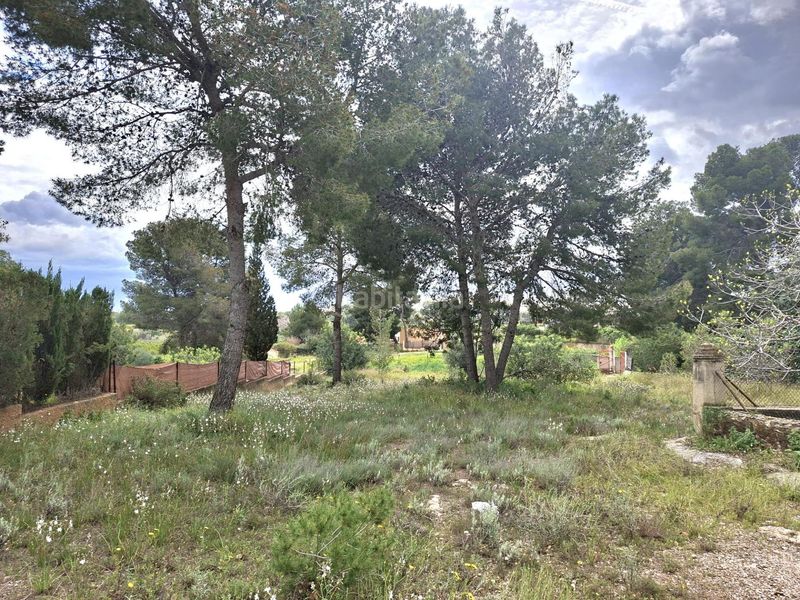 Foto d15cb6fc-af28-422d-8fb1-77006d465acb. Finca rústica a Camí de Paterna-Lloma del Calderer Bétera