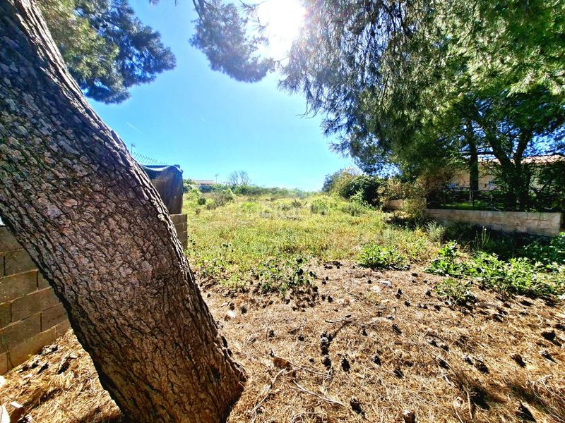 Foto 02326de0-2e82-47e0-9b92-0d91fb5cc3dc. Finca rústica solar en venta, la cañada en La Conarda-Montesano Bétera
