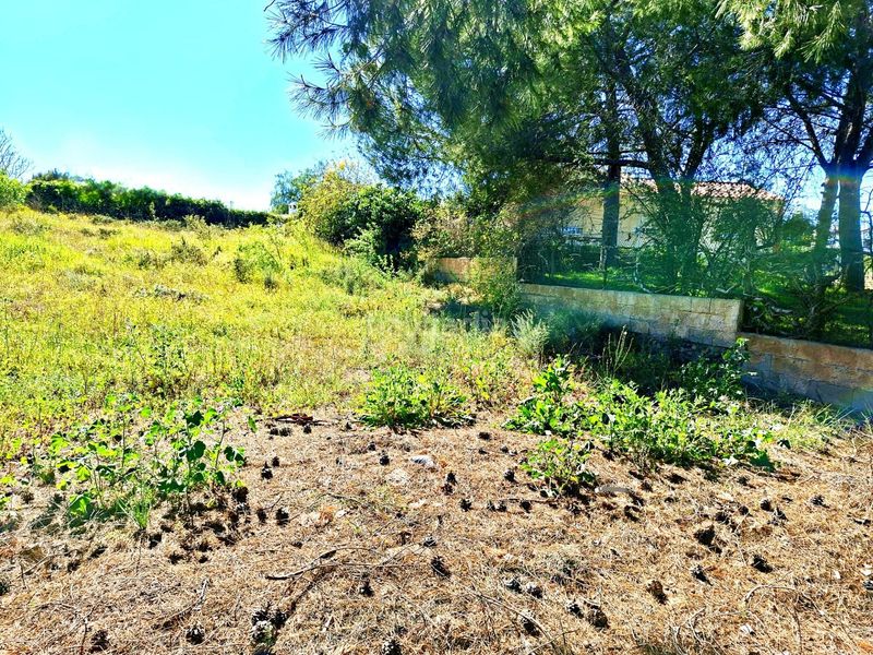 Foto 9c12359d-b4f8-43b8-9980-f1c2e96259c9. Finca rústica solar en venta, la cañada en La Conarda-Montesano Bétera