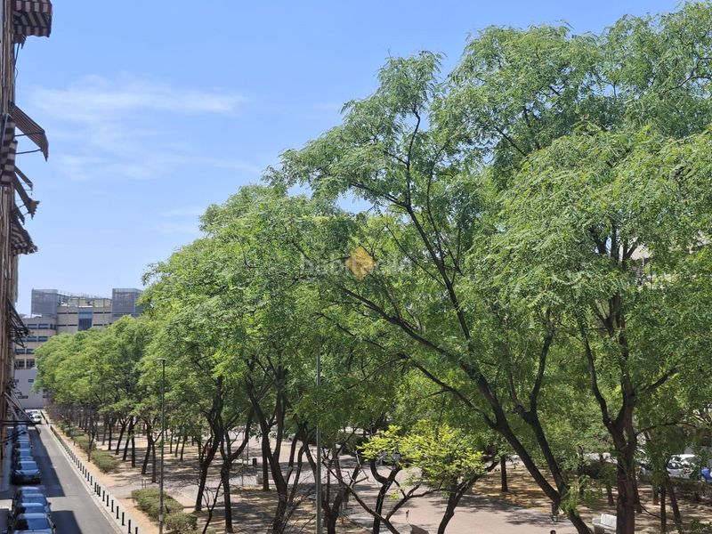 Foto 54503c6a-024a-4c6e-9db1-99268c52df58. Flat in Zona Campus Universitario Burjassot