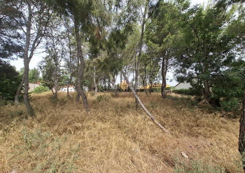 Foto 1168be70-0ebc-42f3-96d6-e273a079b7b0. Terreny residencial a La Conarda-Montesano Bétera