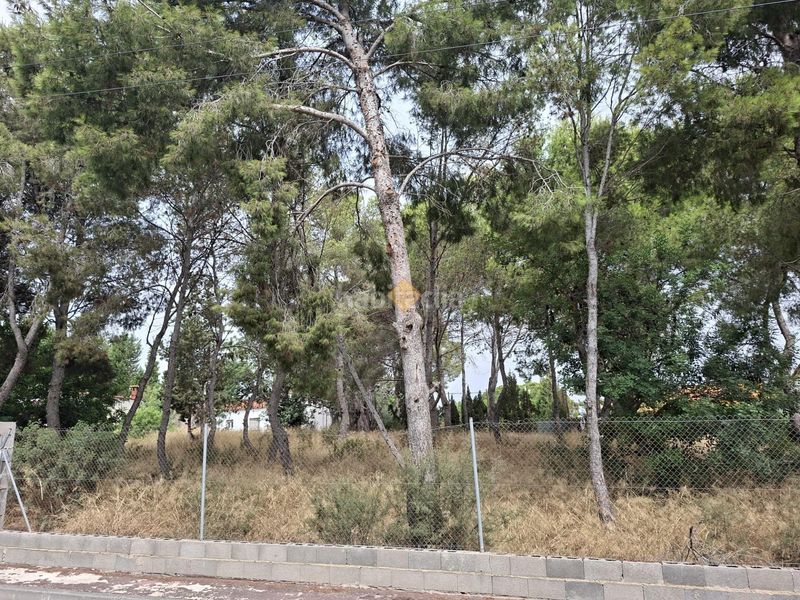 Foto 2d895081-b336-4083-8398-a2a06e26457f. Terreny residencial a La Conarda-Montesano Bétera