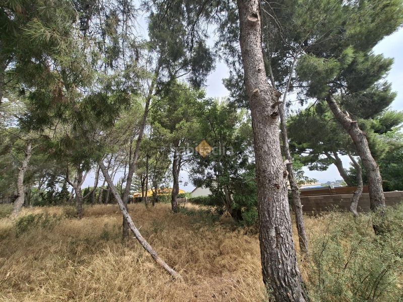 Foto 2ebd4073-f368-45a7-a4ab-db24546a5ede. Terreny residencial a La Conarda-Montesano Bétera