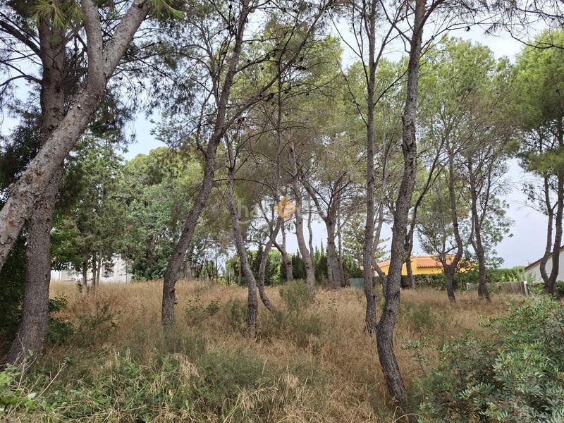 Foto 501a35d5-f459-4d9c-9bcd-6dcad17a9e5e. Terreny residencial a La Conarda-Montesano Bétera