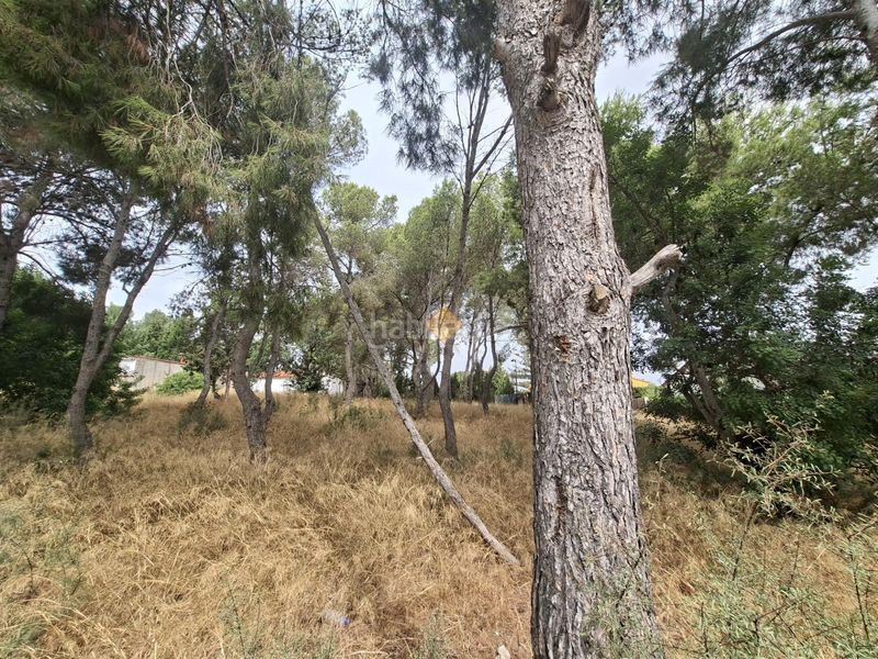 Foto c85c62d2-bdd6-4edd-8713-dfd32994d98b. Terreny residencial a La Conarda-Montesano Bétera