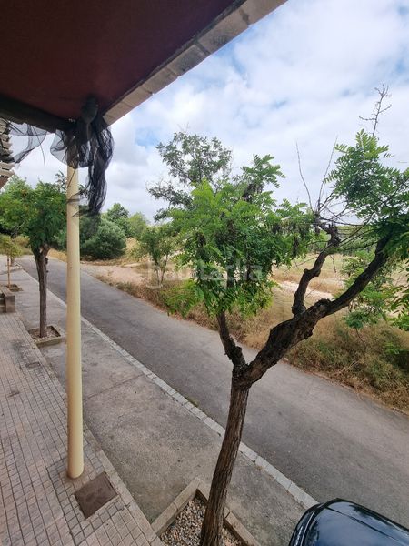 Foto e0dd3ab1-7e3d-4ccd-9ac0-49d1d80652e6. Planta baixa amb aparcament a Alameda Park Manises