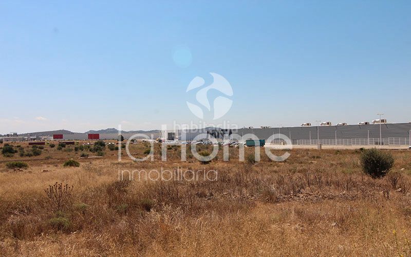 Foto 19dd4dab-32a5-4986-aeb8-9cc090849bdb. Area edificabile industriale in Urbanizaciones Llíria