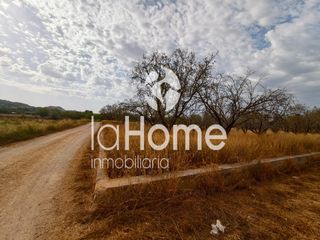 Rural plot in Cv-3710 164. Un espacio para cultivar tus sueños