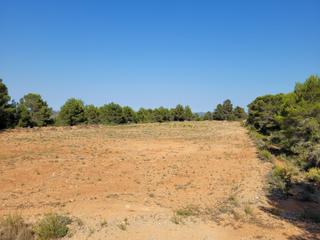 Rural plot in Turís