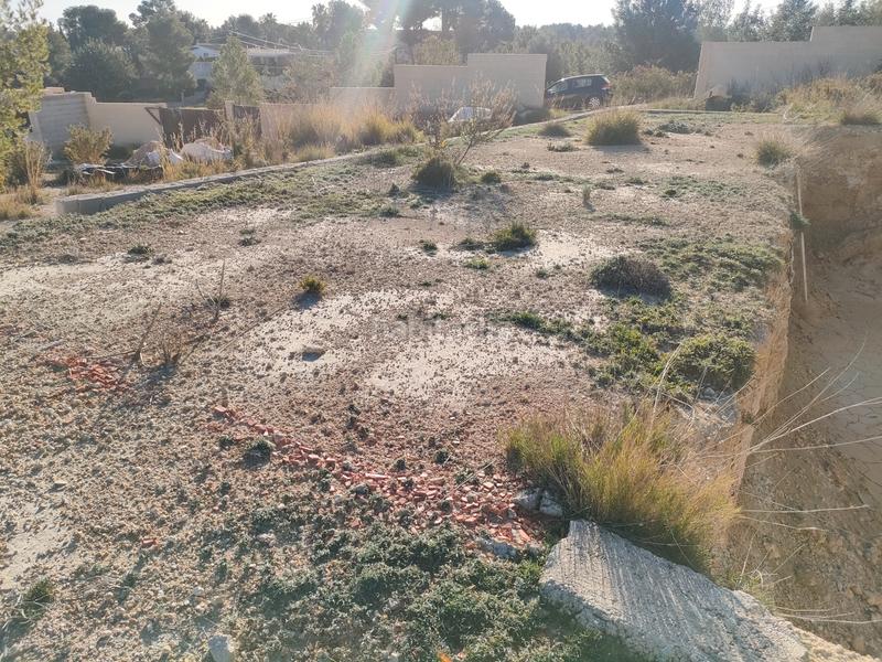 Foto 10b12022-daba-4357-a13e-f93837329907. Fondo rustico in Godelleta