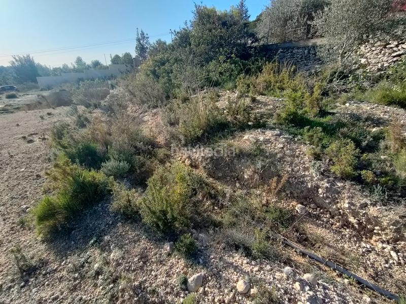 Foto 80db5f1f-cca6-4d98-a743-74db996761bb. Finca rústica a Godelleta