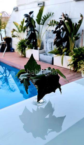 Foto 96efe741-a183-4c7c-a142-fc97f54beea7. Casa amb xemeneia calefacció aparcament piscina a Monserrat