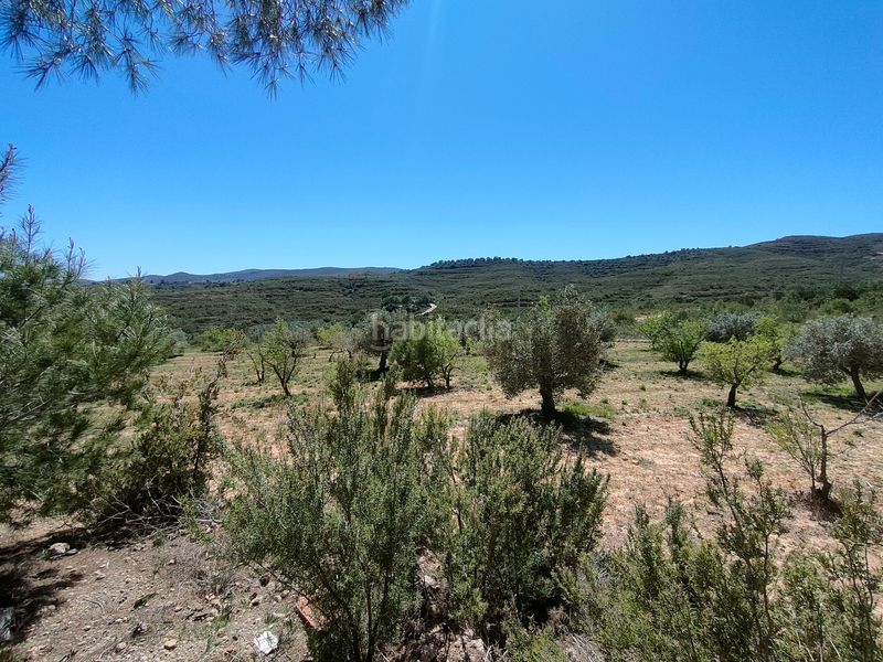 Foto ce636a1b-6572-4133-910d-a82a11d24452. Chalet en Turís