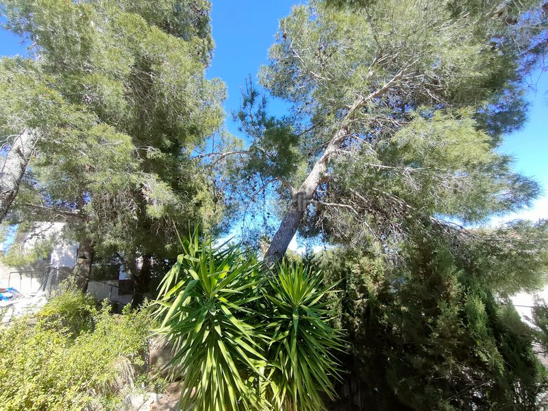 Foto 4103bc8a-992a-4efe-9c74-97f9ce2eb5d4. Chalet en Turís