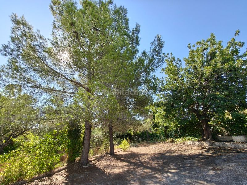 Foto 4f4f4b37-e123-455f-9120-a75f950fadb1. Xalet amb piscina a Turís
