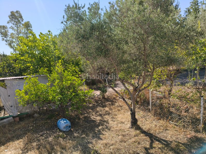 Foto 5ac2ec04-34d2-43b9-a969-eb2e7e257466. Xalet amb piscina a Turís