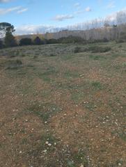 Finca rústica a Olleria (l´). Terreno rústico en venta en lolleria