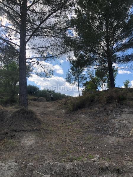 Foto fef1e115-5db2-45c6-9cec-f7de82d9018c. Finca rústica a Xàtiva