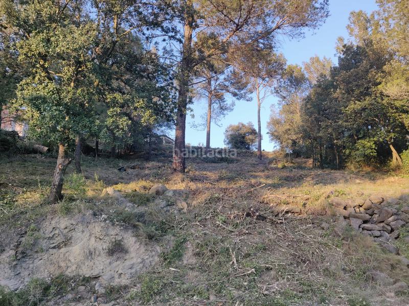 Foto 739013bd-b7c1-4545-9485-ab7cbe090390. Wohngrundstück in Canet d´Adri