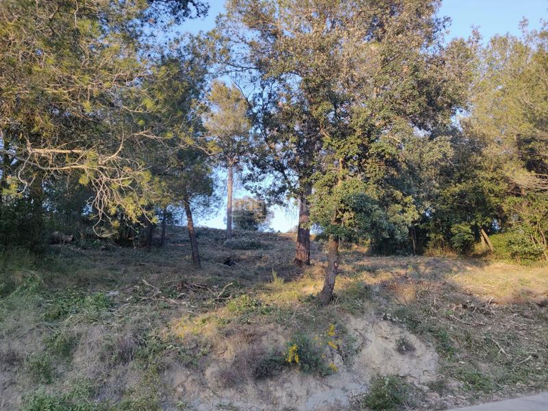 Foto 9c672a3b-b218-420d-9e78-024a780546a7. Wohngrundstück in Canet d´Adri