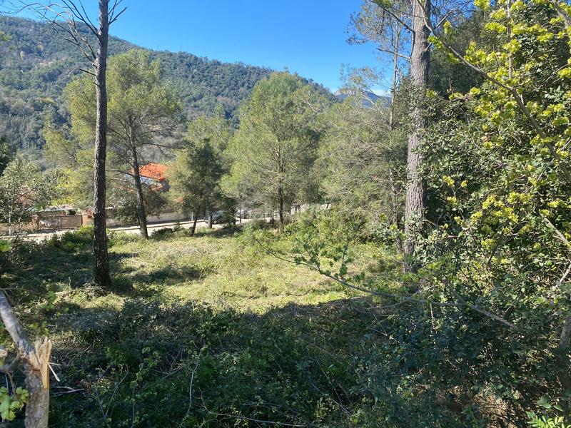 Foto d603a0e2-bb29-45c6-9a1a-49299534f70a. Wohngrundstück in Canet d´Adri