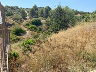 Terrain résidentiel à Carrer Bodeguetes