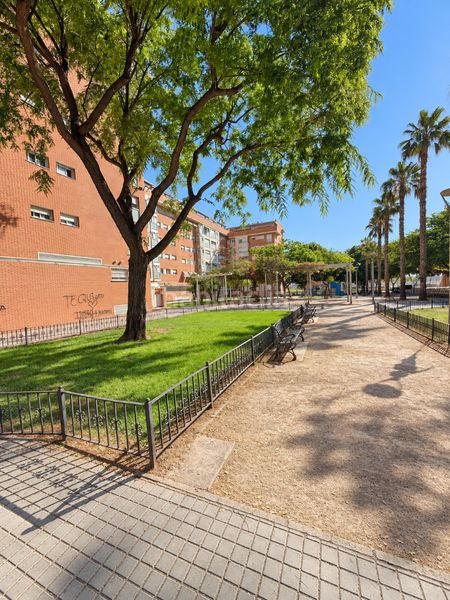 Foto c23ae7e8-d387-4ab1-a332-07e249104606. Pis a El Carmen Manises