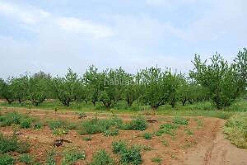 Foto c60bcbe3-f7a3-4f8b-9643-159eb5a895e2. Masía finca rustica en zona de regadio en Santa Bárbara Llíria