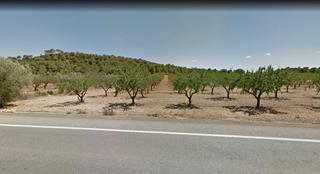 Propriété à Casinos. Venta de finca rústica en casinos almendros en producción y acce