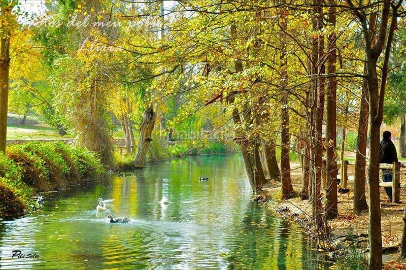 Foto b7fdb7e3-c773-4340-b27f-c8e3100076a9. Xalet amb calefacció aparcament piscina a Urbanizaciones Llíria