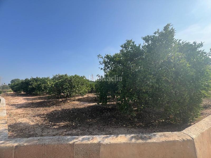 Foto 0f47f33e-77fc-45e6-91d3-bf6b9a00cf1f. Finca rústica parcela cultivada con arboles frutales naranjos en Paterna