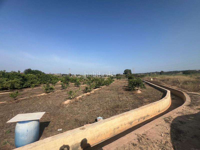 Foto 56bde866-da2f-4419-acbb-d0ae1829c20a. Finca rústica parcela cultivada con arboles frutales naranjos en Paterna