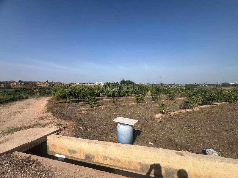 Foto 5960c4e9-aa65-4467-86e0-5a7018cf10cd. Finca rústica parcela cultivada con arboles frutales naranjos en Paterna