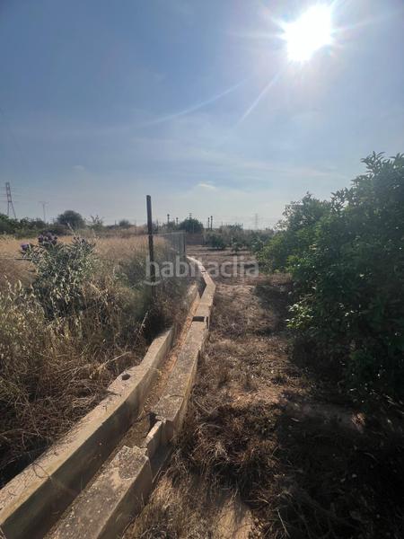 Foto 8fd88710-9a0d-42b0-af4c-37794326fff9. Finca rústica parcela cultivada con arboles frutales naranjos en Paterna