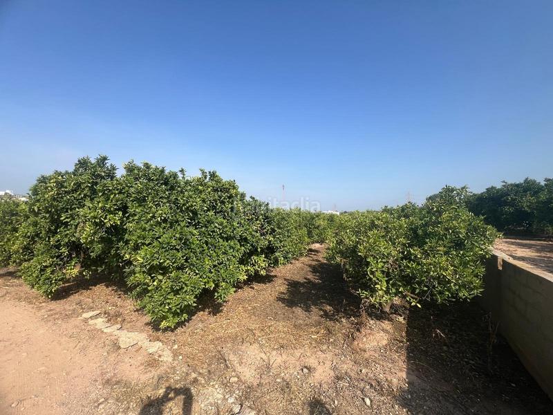 Foto 92045af6-ac07-497c-a883-be15ca784620. Finca rústica parcela cultivada con arboles frutales naranjos en Paterna