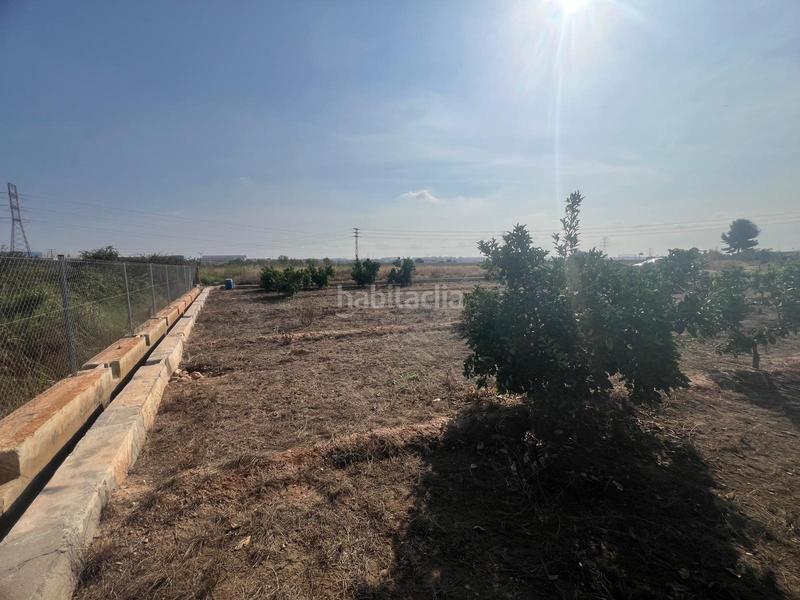 Foto 92de1a09-50e5-4bbf-9f71-d8f79deff2d2. Finca rústica parcela cultivada con arboles frutales naranjos en Paterna